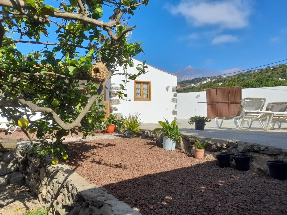 La Casa Del Bisa Villa Genovés Exterior photo